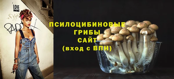 хмурый Богородск