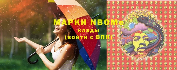 бошки Богородицк
