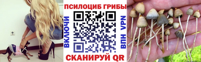 Псилоцибиновые грибы Magic Shrooms Красноуральск